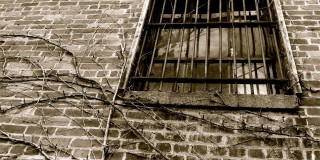 3 lecții pe care le putem învăța de la deținuți