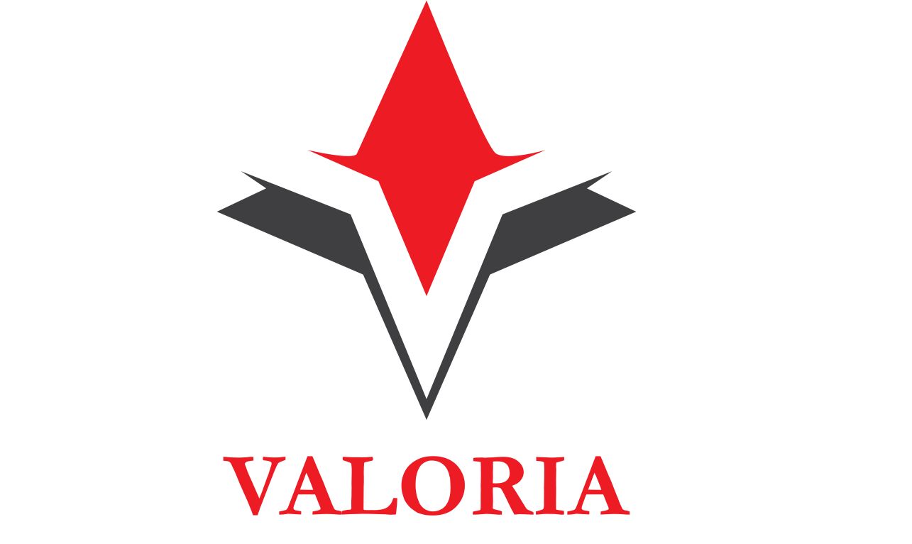 Compania de training si consultanta Valoria vizeaza triplarea cifrei de afaceri, in 2019